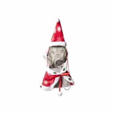Kerst cape kerstmuts hond