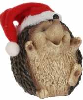 Egel kerstmuts beeldjes kerstbeeldjes bij 10213282