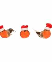 X kerstboomversiering vogels clip kerstmuts 10240852